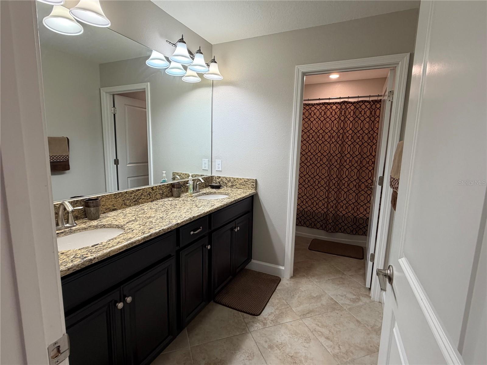 13905 ROSEATE TERN LN, RIVERVIEW, FL, 33579