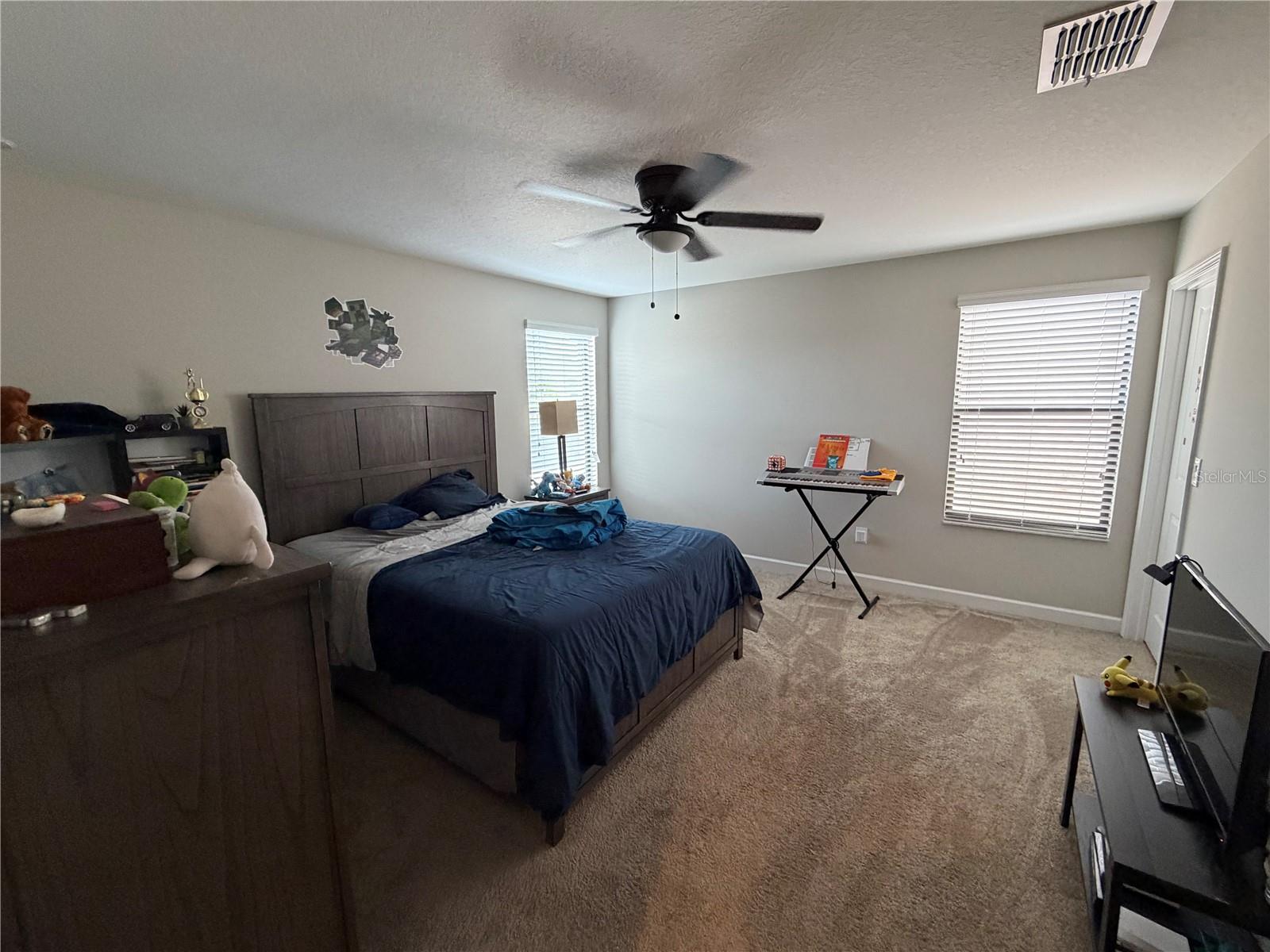 13905 ROSEATE TERN LN, RIVERVIEW, FL, 33579