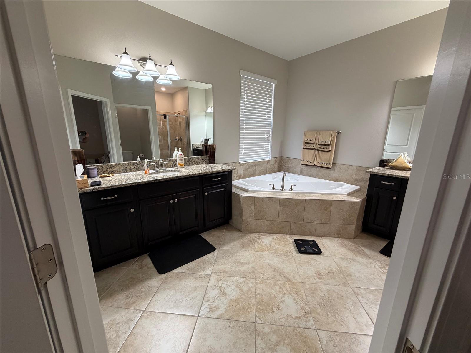 13905 ROSEATE TERN LN, RIVERVIEW, FL, 33579