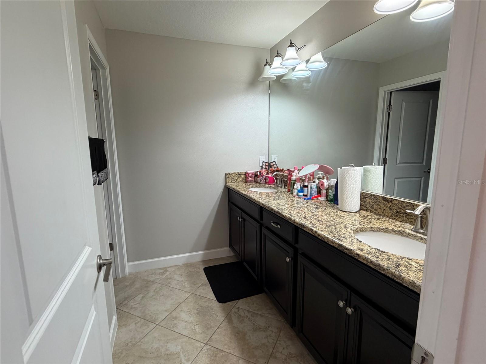 13905 ROSEATE TERN LN, RIVERVIEW, FL, 33579