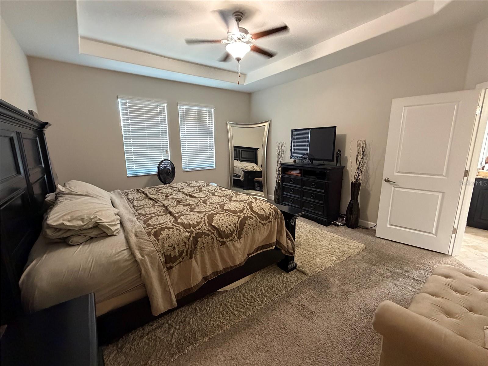 13905 ROSEATE TERN LN, RIVERVIEW, FL, 33579