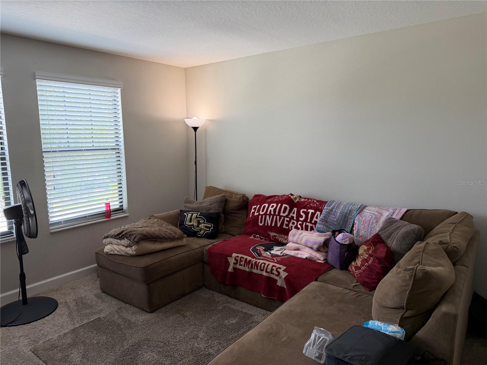 13905 ROSEATE TERN LN, RIVERVIEW, FL, 33579