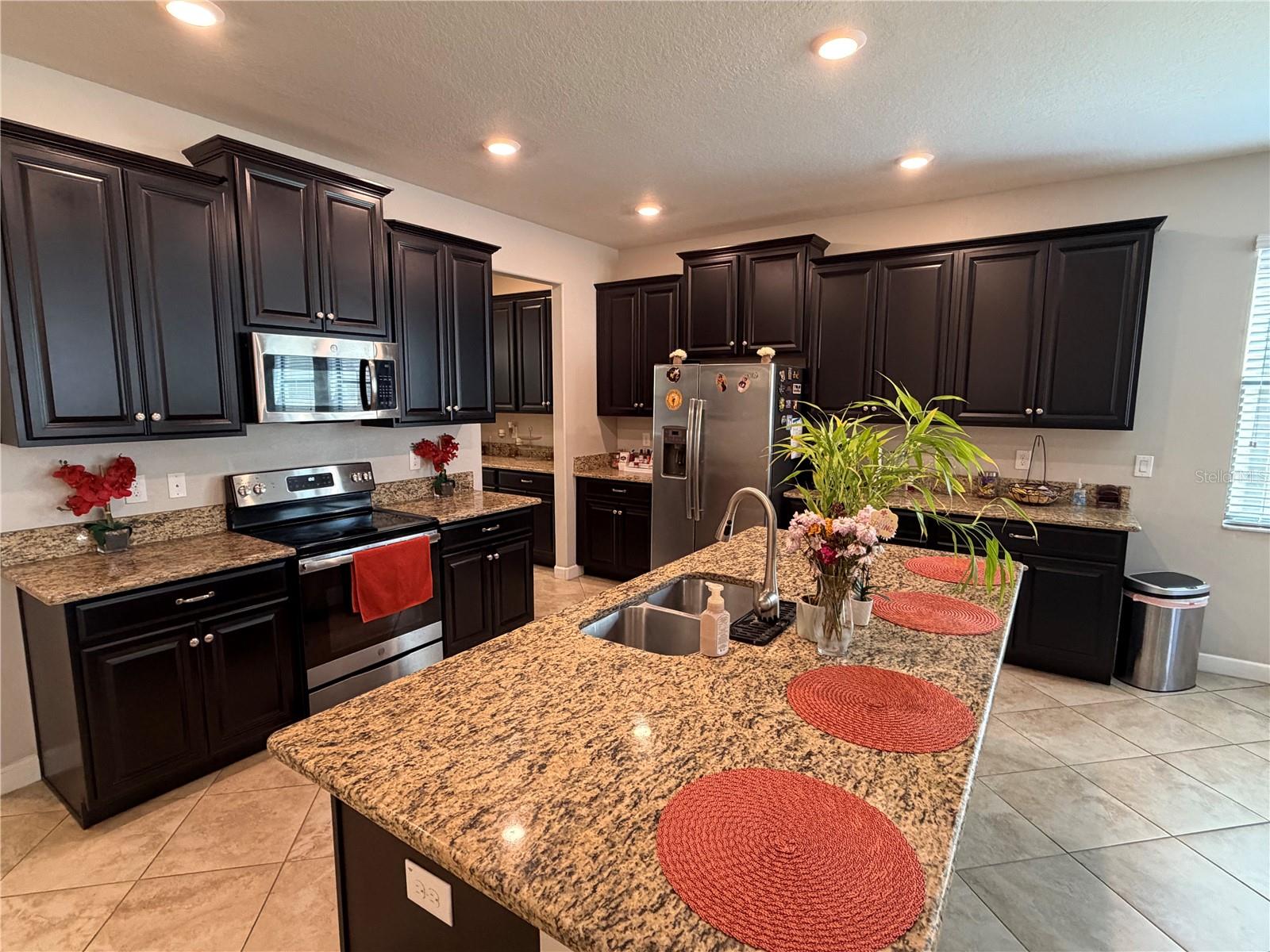 13905 ROSEATE TERN LN, RIVERVIEW, FL, 33579