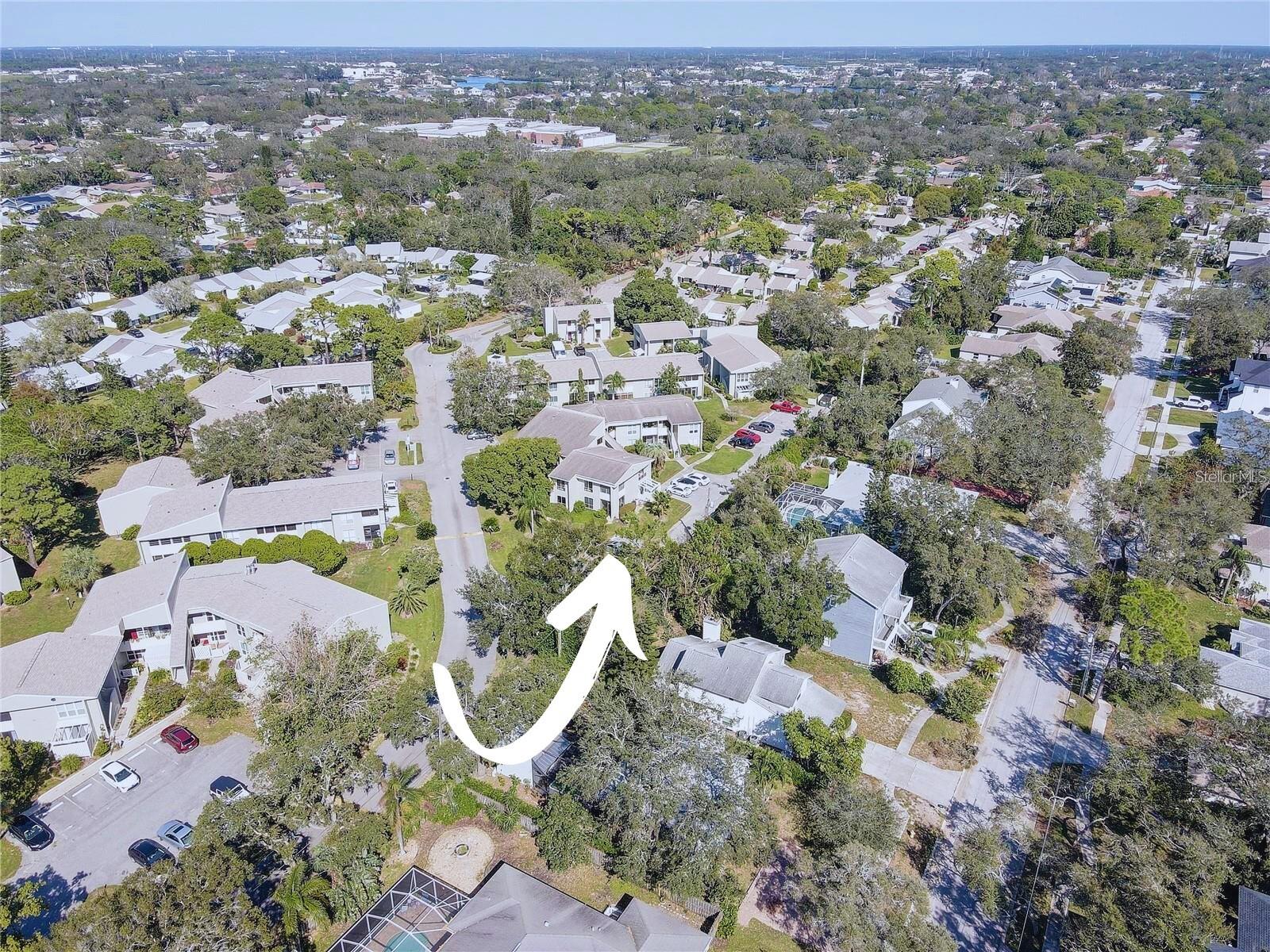 428 WINDRUSH BAY DR #428, TARPON SPRINGS, FL, 34689