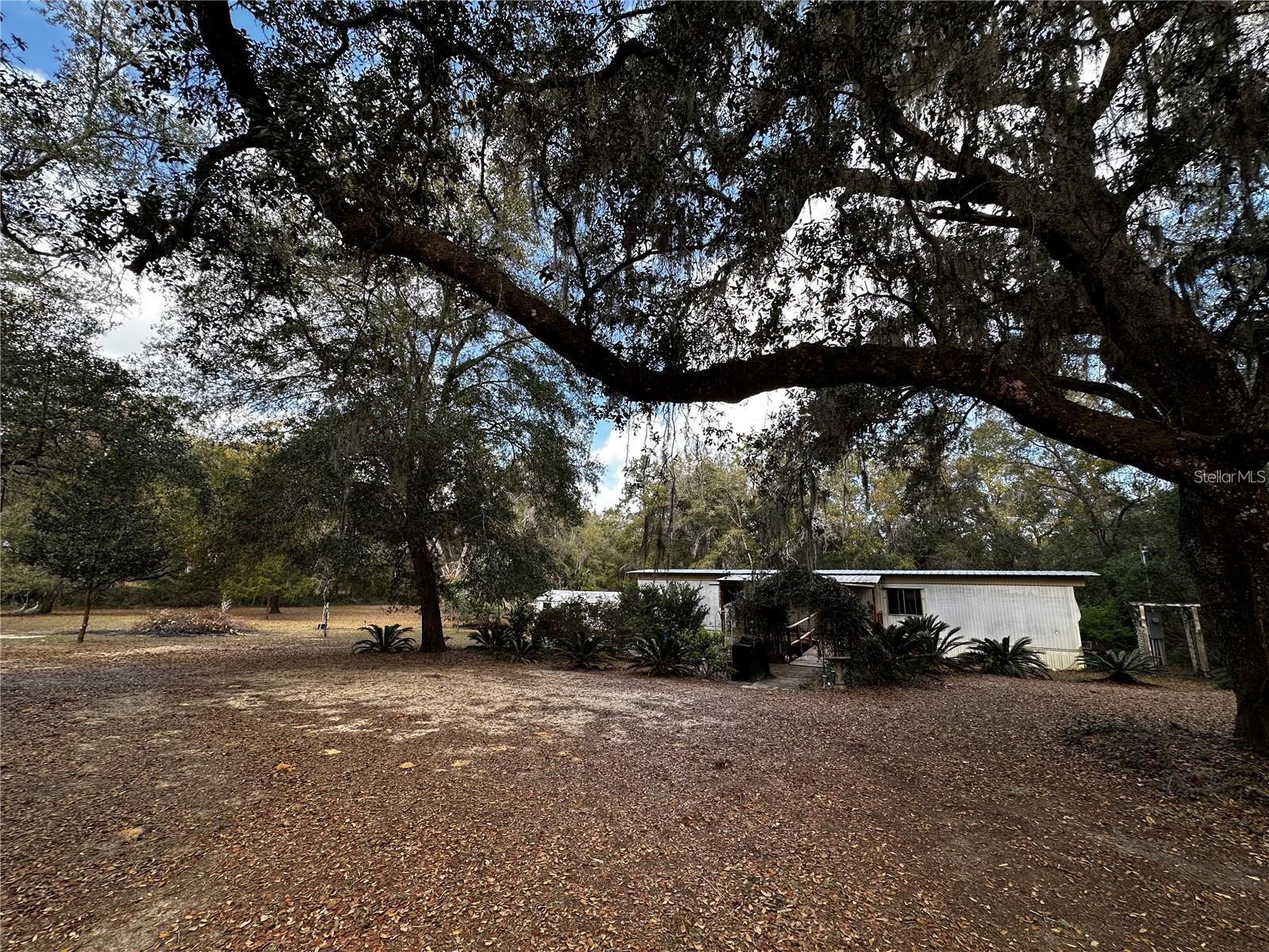 12212 NE 238TH TER, SALT SPRINGS, FL, 32134