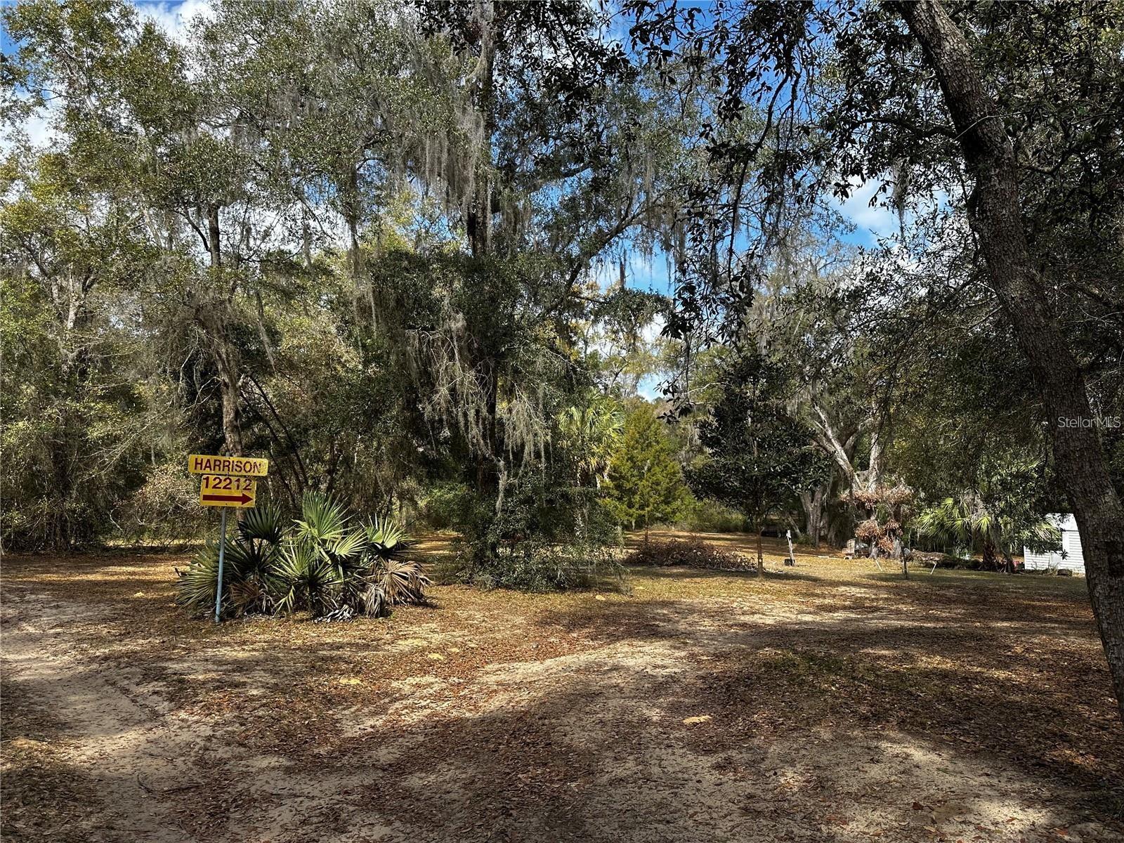 12212 NE 238TH TER, SALT SPRINGS, FL, 32134