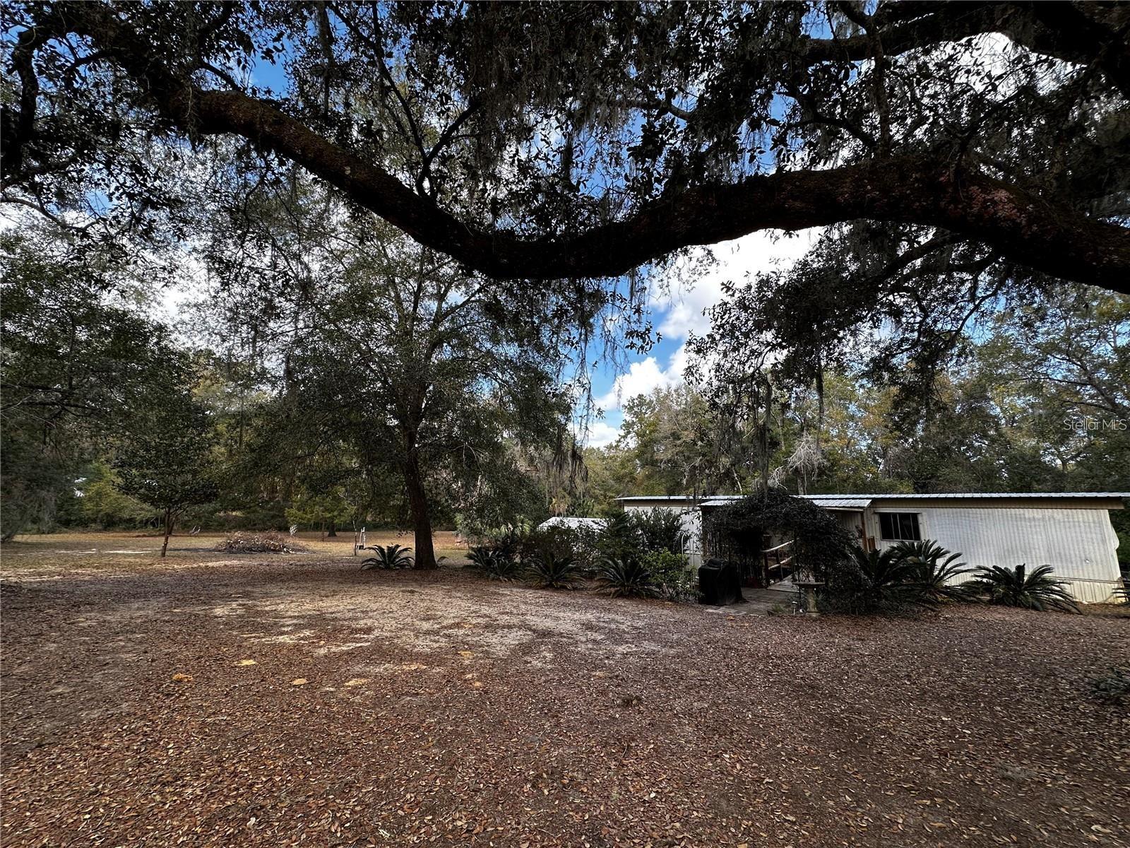 12212 NE 238TH TER, SALT SPRINGS, FL, 32134