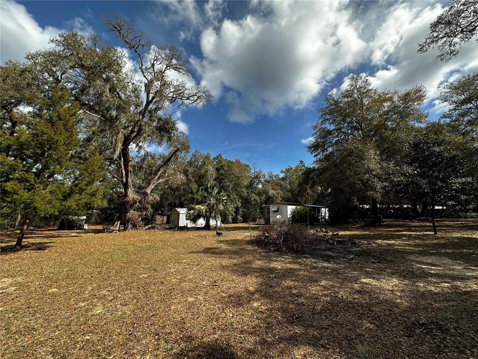 12212 NE 238TH TER, SALT SPRINGS, FL, 32134