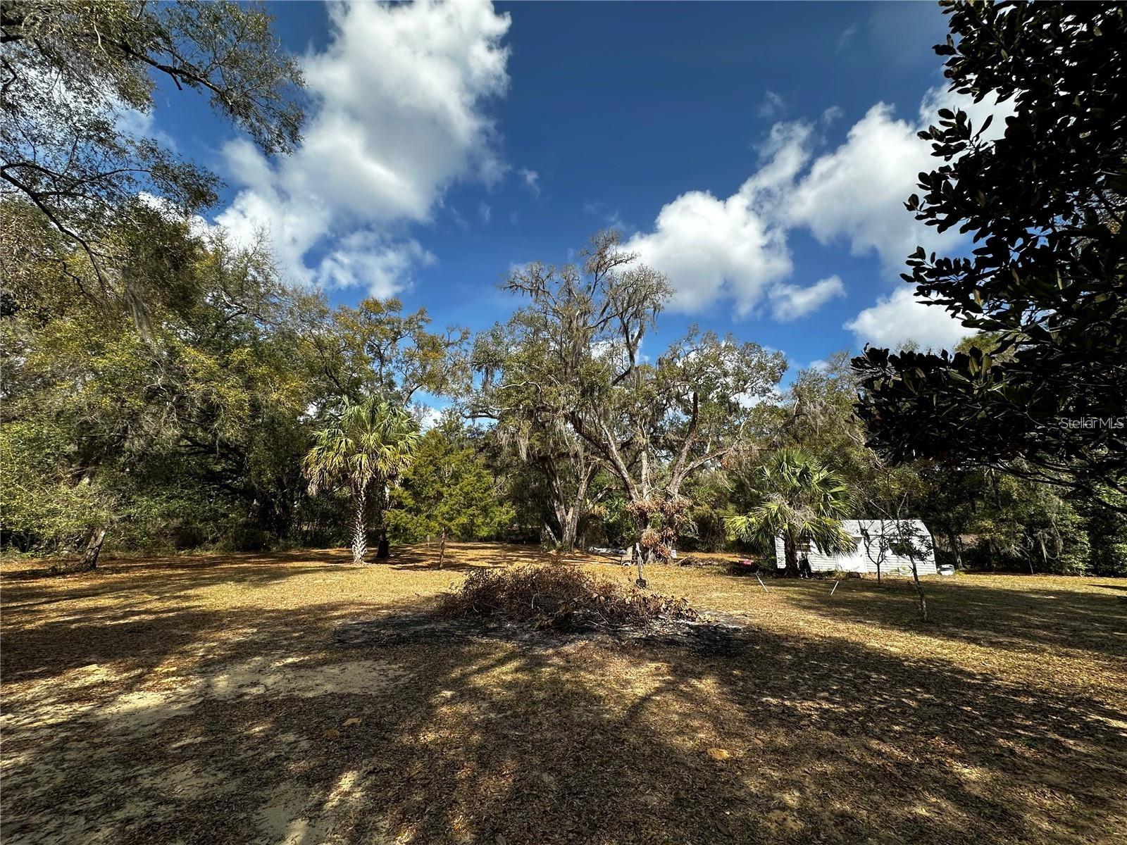 12212 NE 238TH TER, SALT SPRINGS, FL, 32134