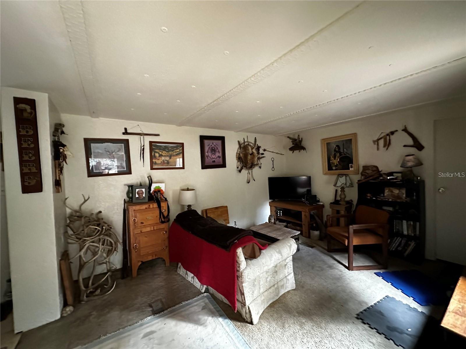 12212 NE 238TH TER, SALT SPRINGS, FL, 32134