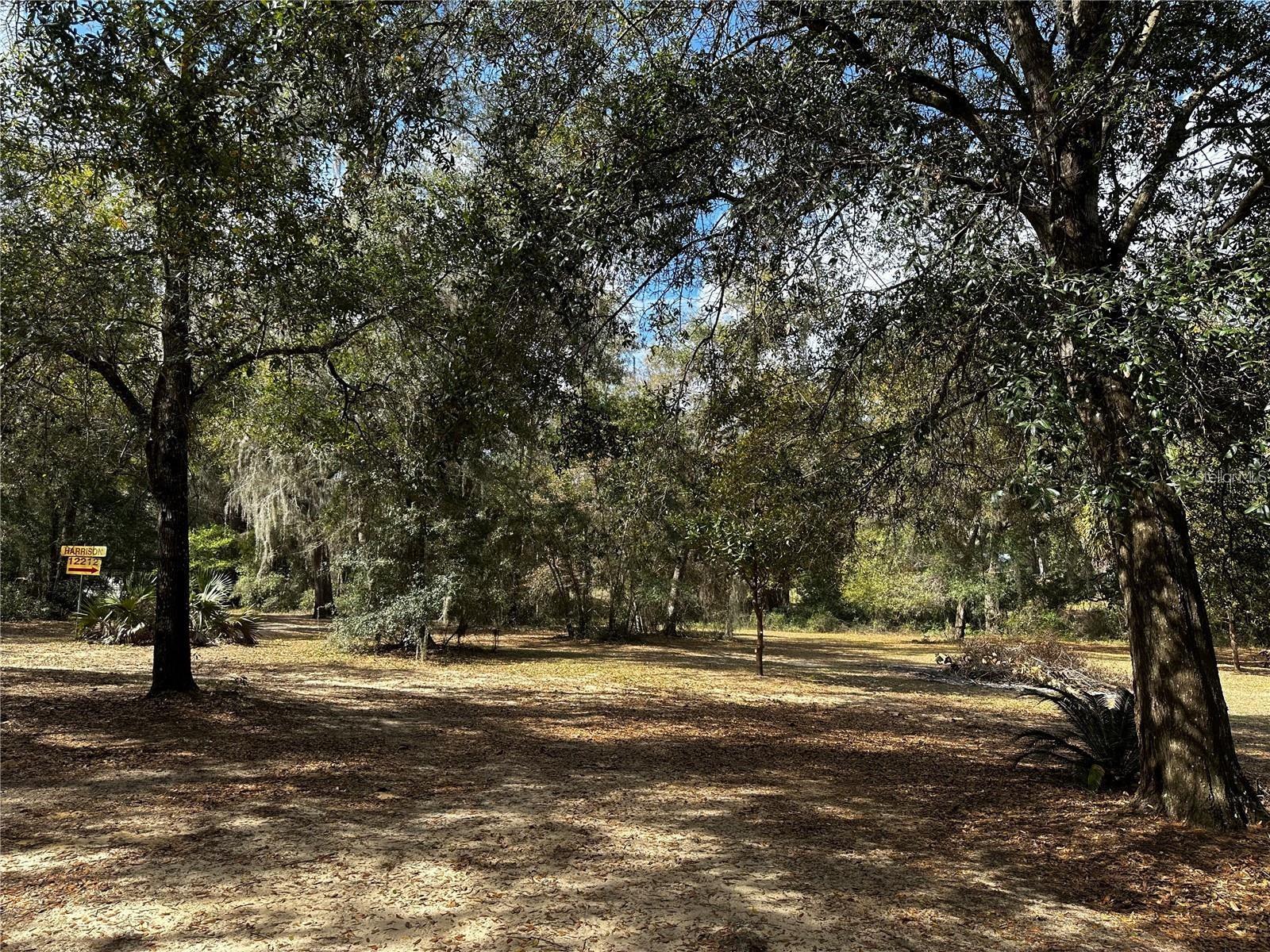 12212 NE 238TH TER, SALT SPRINGS, FL, 32134