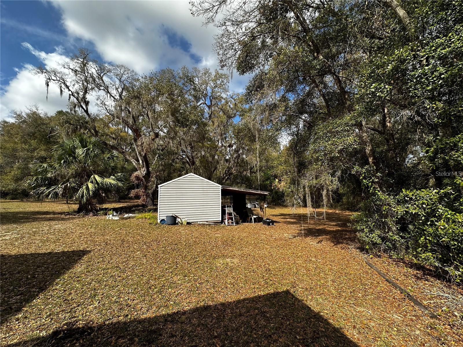 12212 NE 238TH TER, SALT SPRINGS, FL, 32134