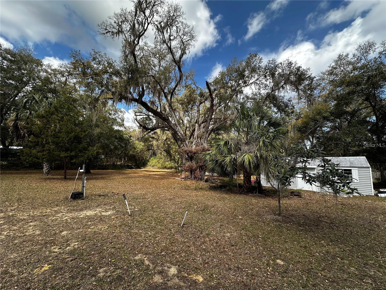 12212 NE 238TH TER, SALT SPRINGS, FL, 32134