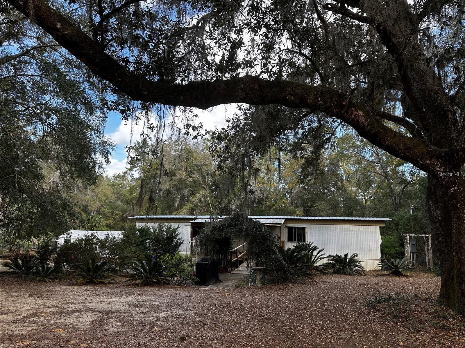 12212 NE 238TH TER, SALT SPRINGS, FL, 32134