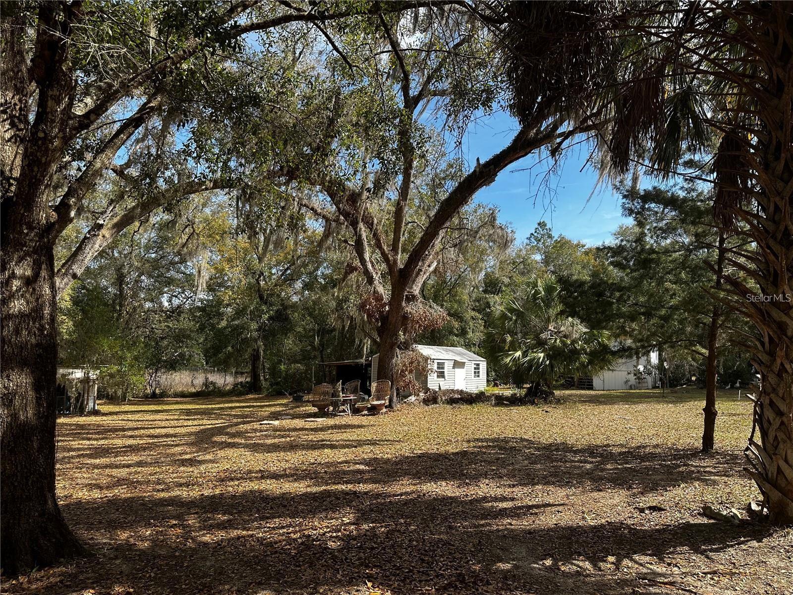 12212 NE 238TH TER, SALT SPRINGS, FL, 32134