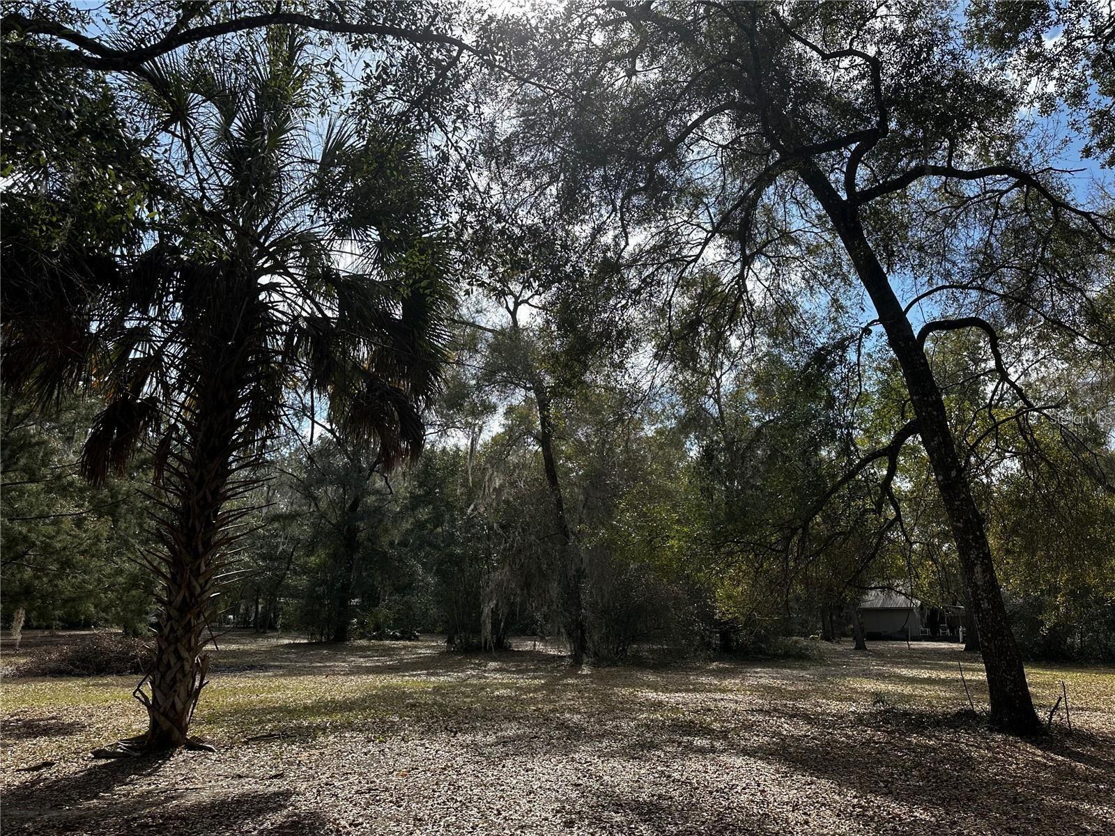 12212 NE 238TH TER, SALT SPRINGS, FL, 32134