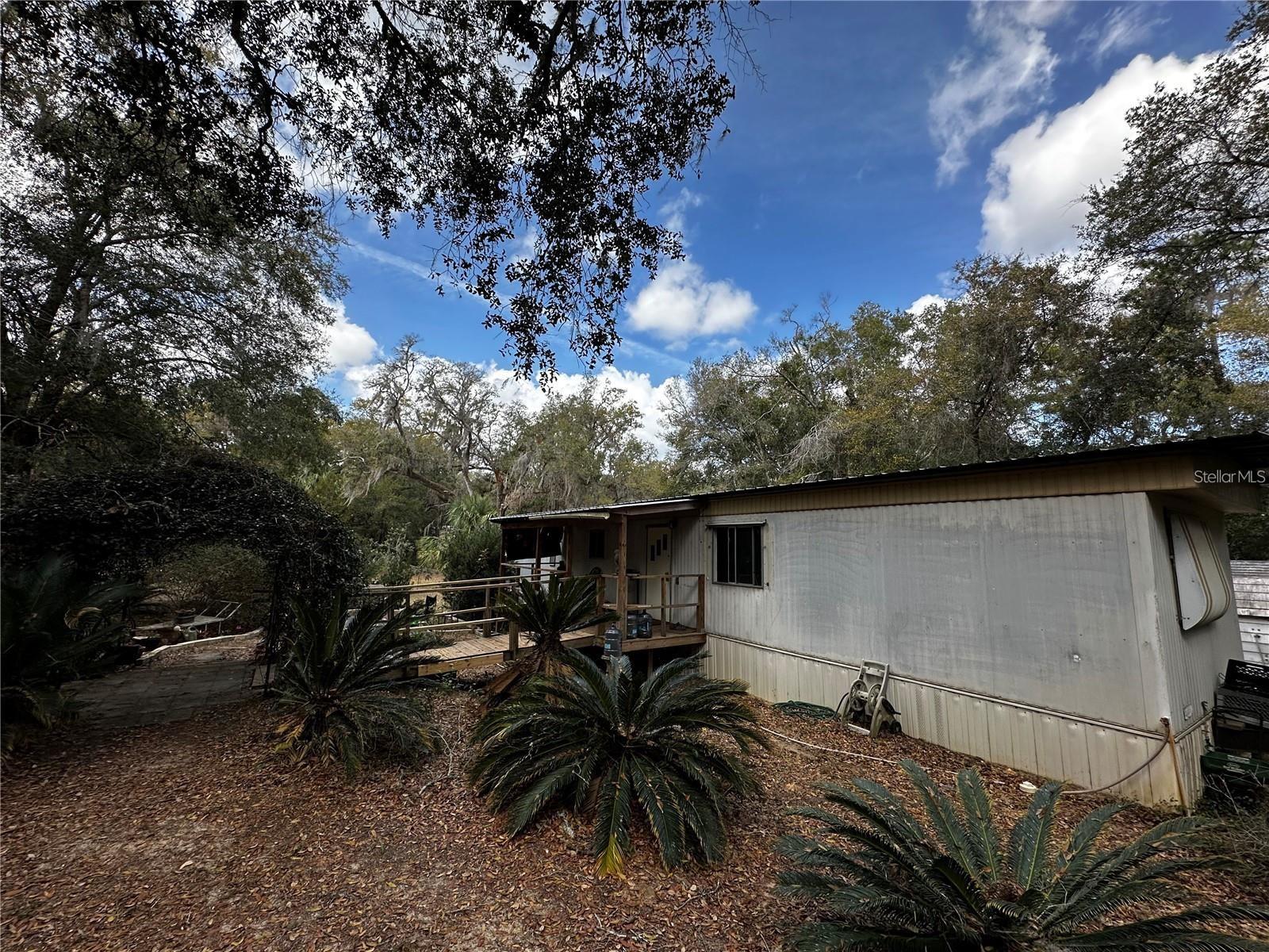 12212 NE 238TH TER, SALT SPRINGS, FL, 32134