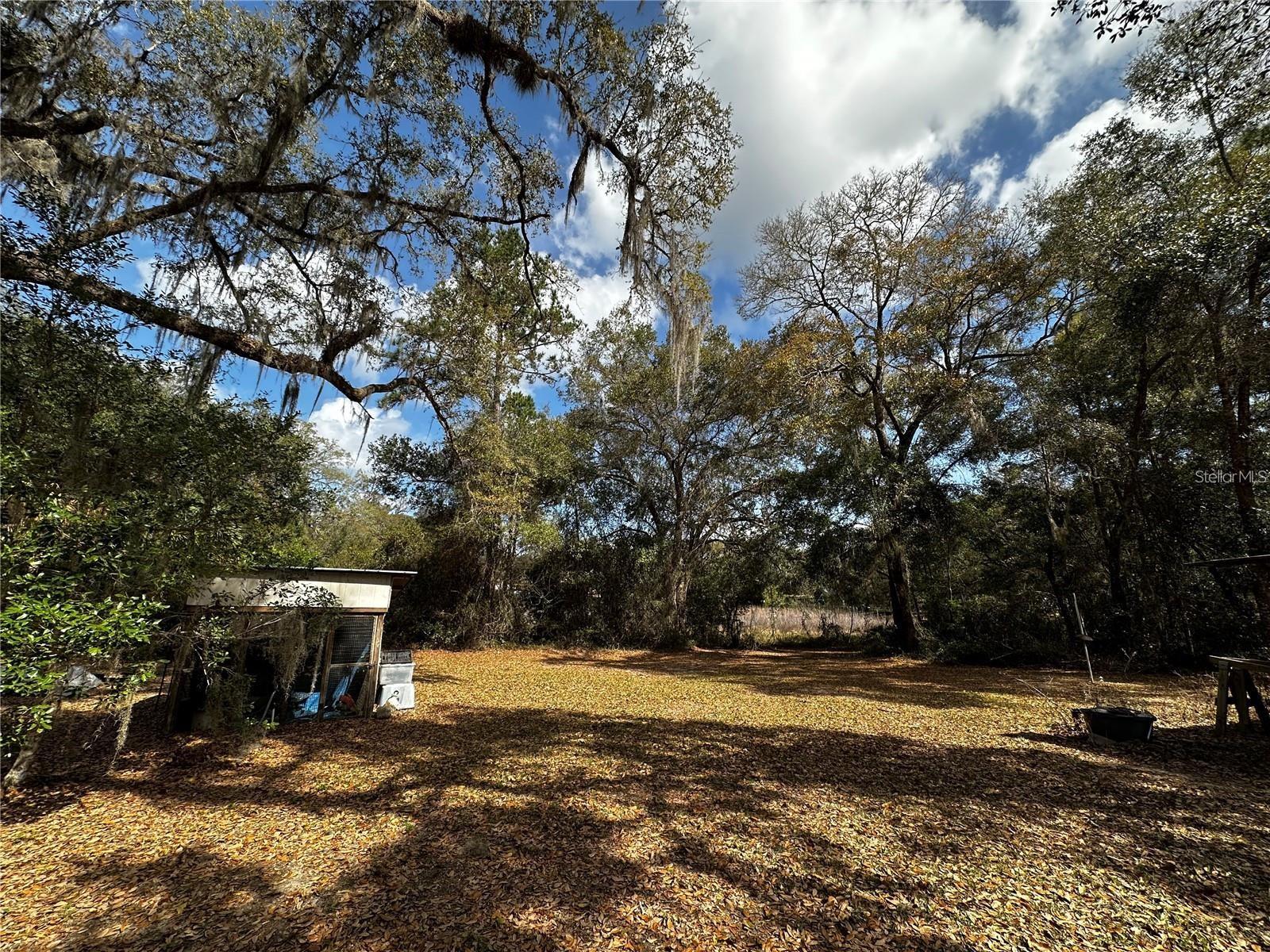 12212 NE 238TH TER, SALT SPRINGS, FL, 32134