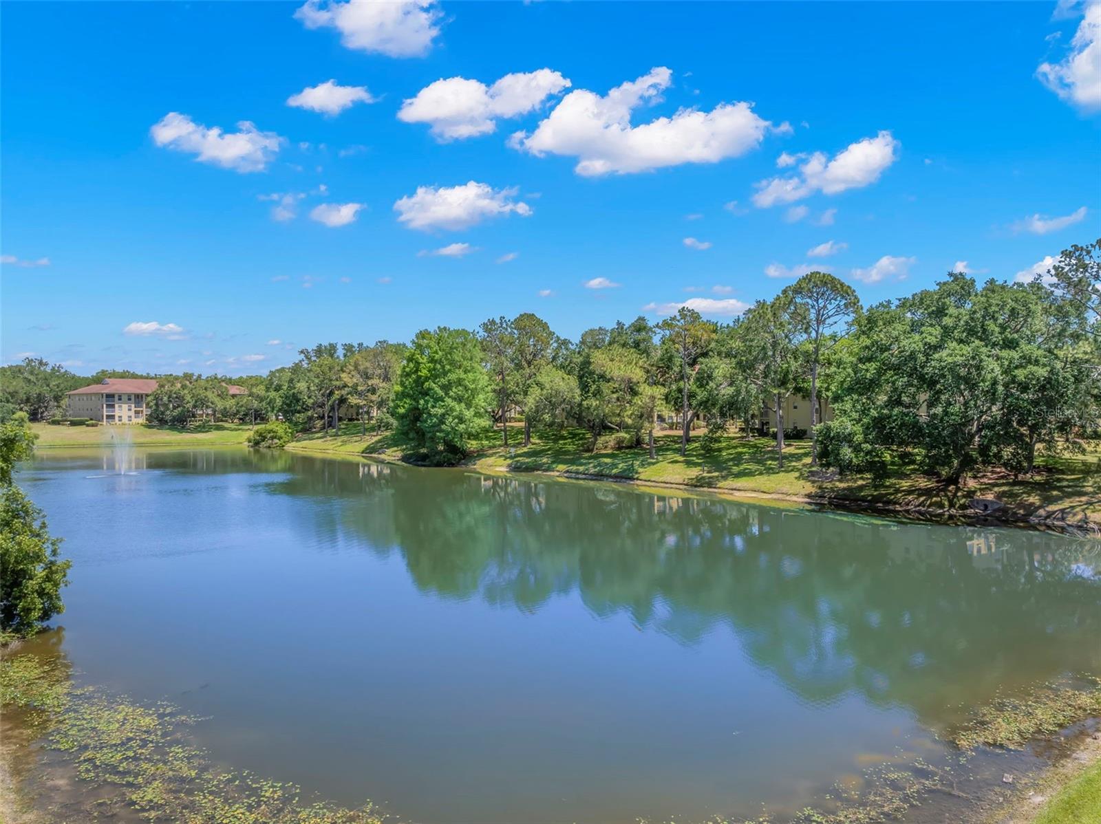 2690 CORAL LANDINGS BLVD #112, PALM HARBOR, FL, 34684