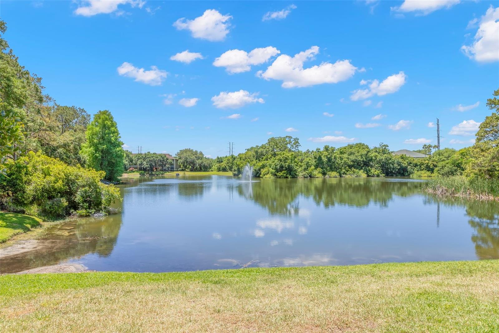 2690 CORAL LANDINGS BLVD #112, PALM HARBOR, FL, 34684