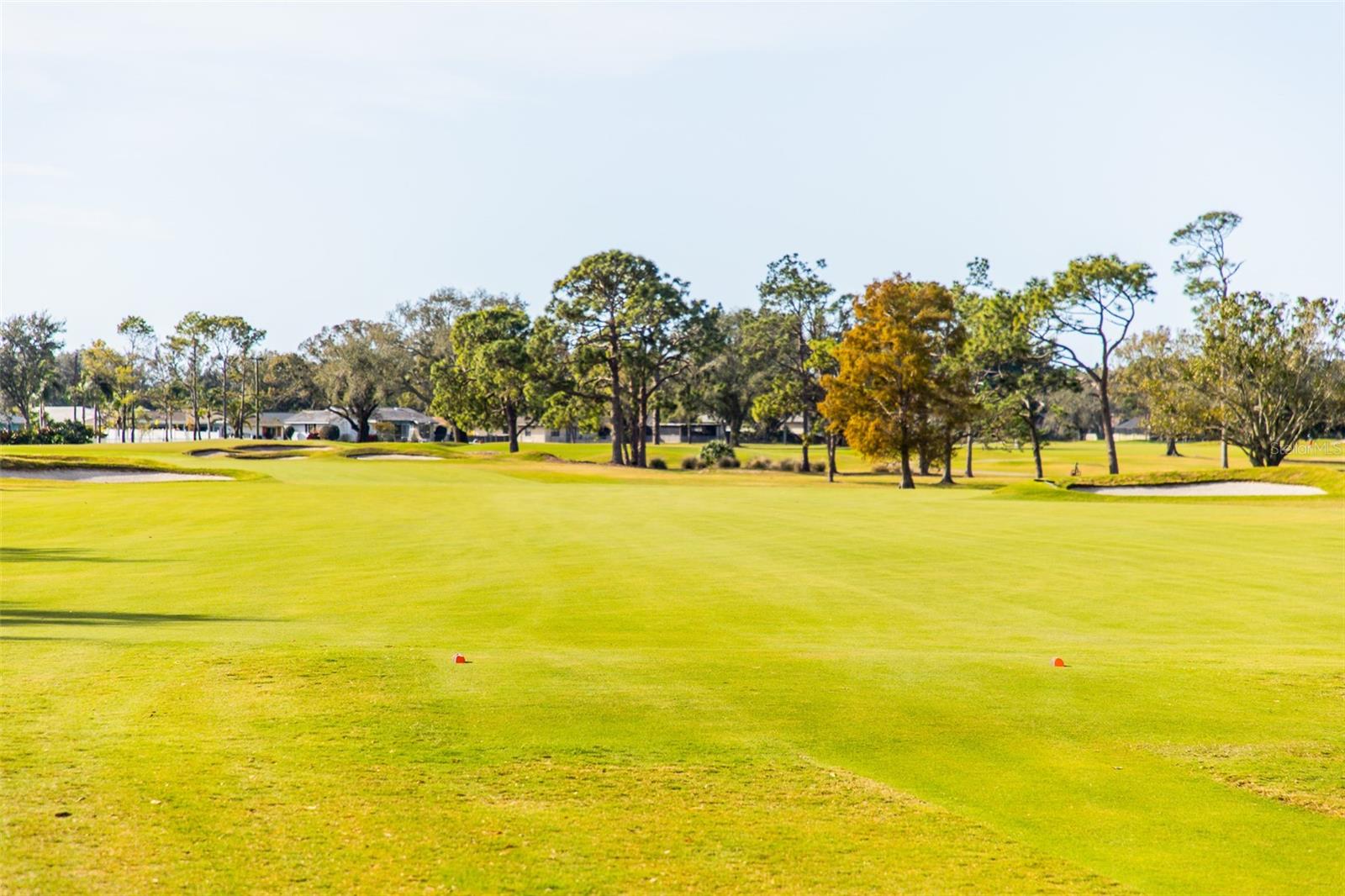 703 WHITFIELD AVE, SARASOTA, FL, 34243