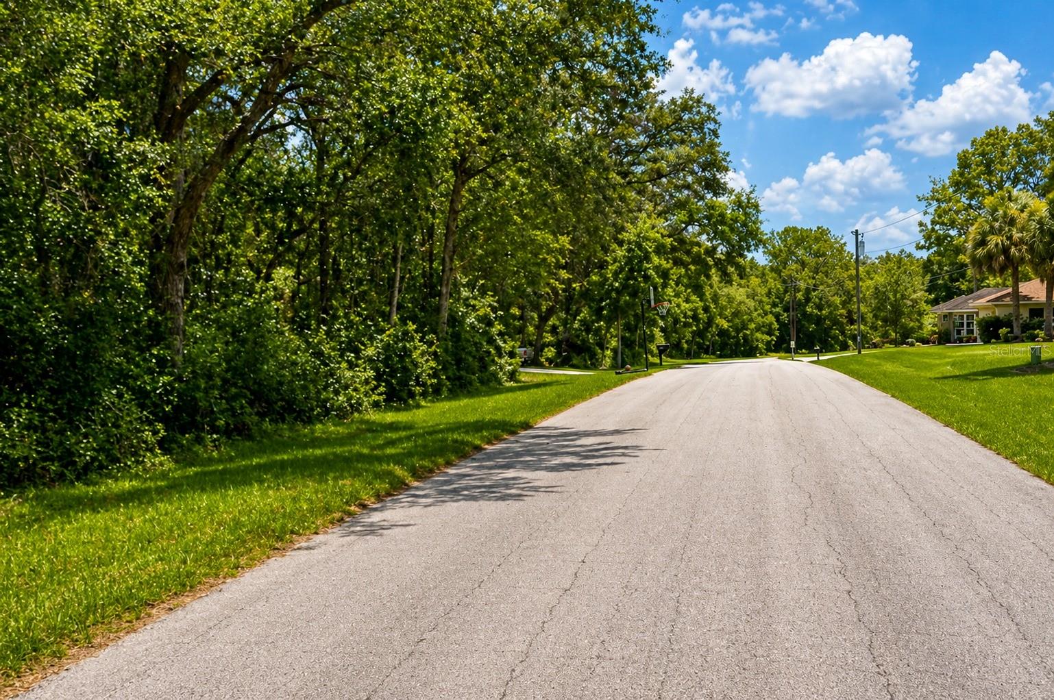 361 E ELGROVE DR, CITRUS SPRINGS, FL, 34434