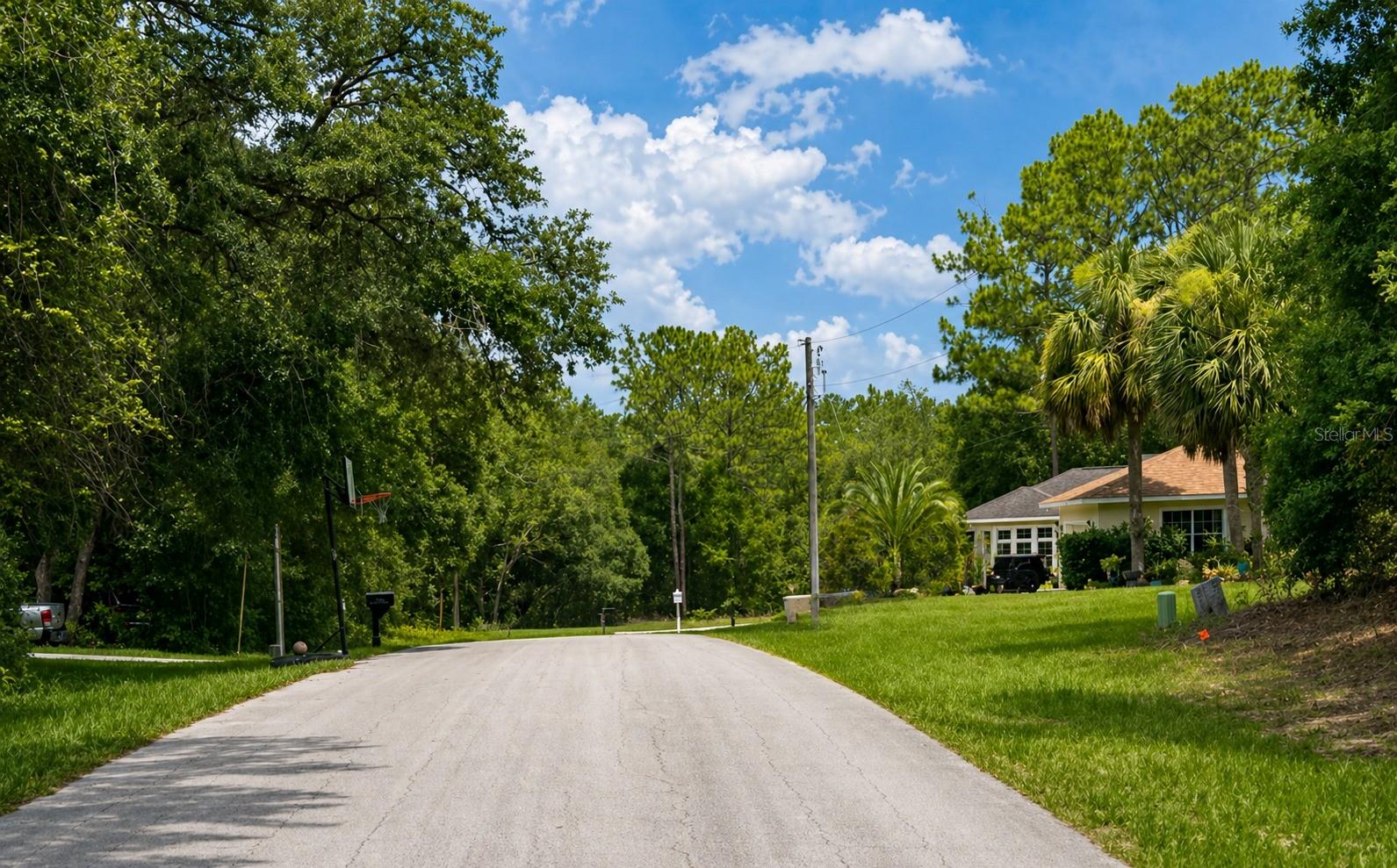 361 E ELGROVE DR, CITRUS SPRINGS, FL, 34434