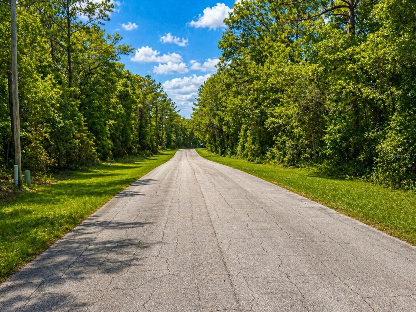 361 E ELGROVE DR, CITRUS SPRINGS, FL, 34434