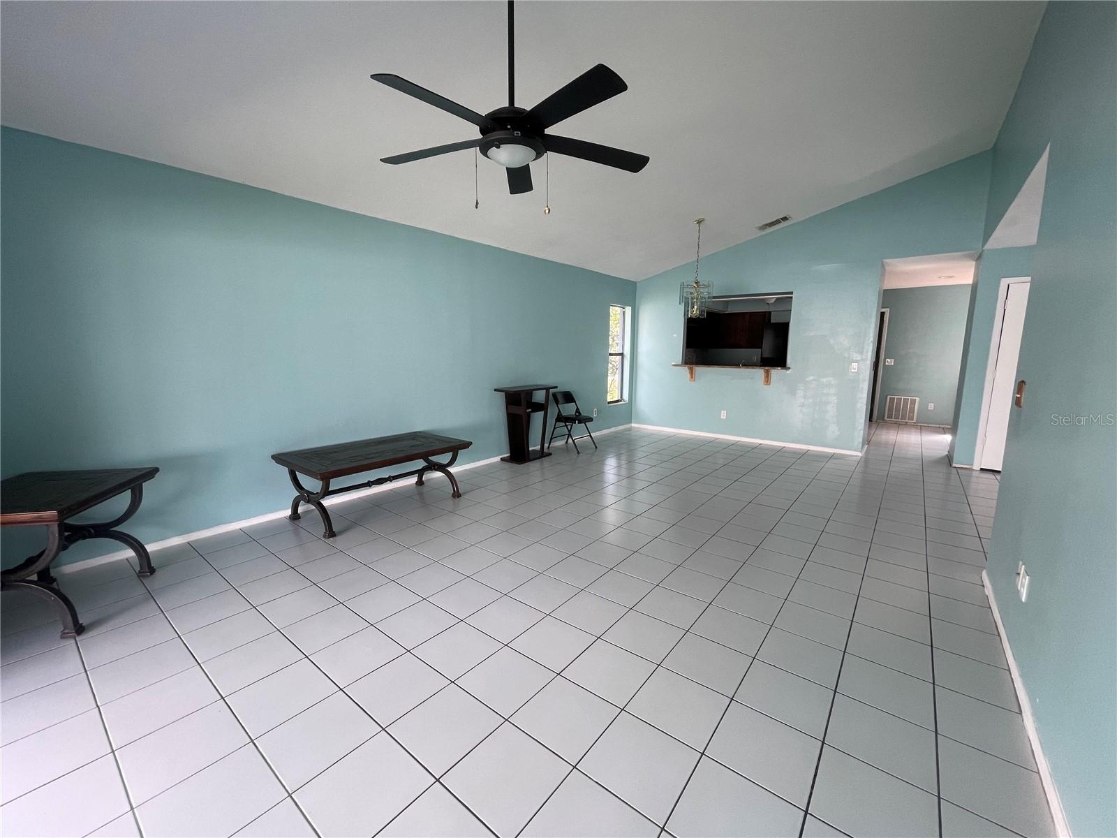 13132 PHOENIX WOODS LN, ORLANDO, FL, 32824