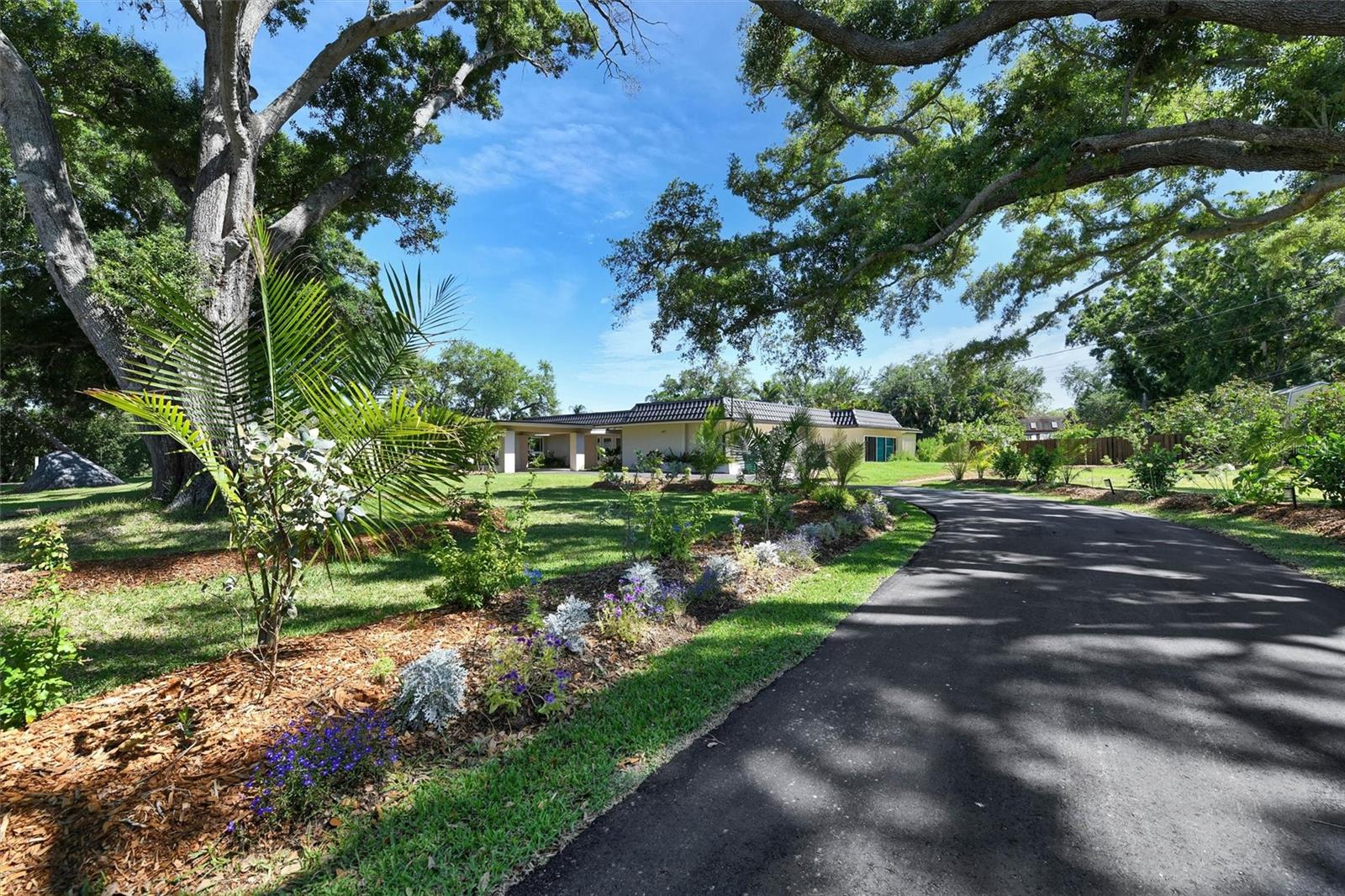 1875 BELLEAIR RD, CLEARWATER, FL, 33764