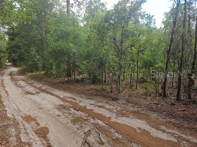 0 SW 90, DUNNELLON, FL, 34432