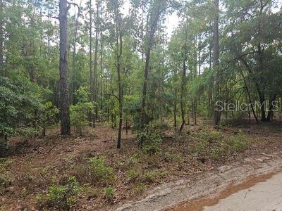 0 SW 90, DUNNELLON, FL, 34432