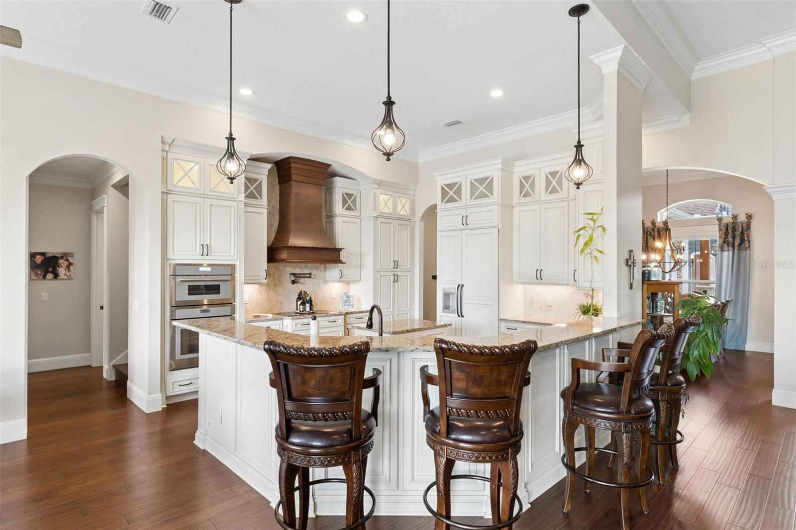 22621 SHADY BRANCH WAY, EUSTIS, FL, 32736