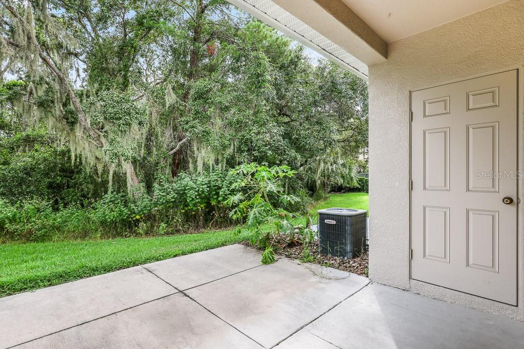 15807 FISHHAWK FALLS DR, LITHIA, FL, 33547