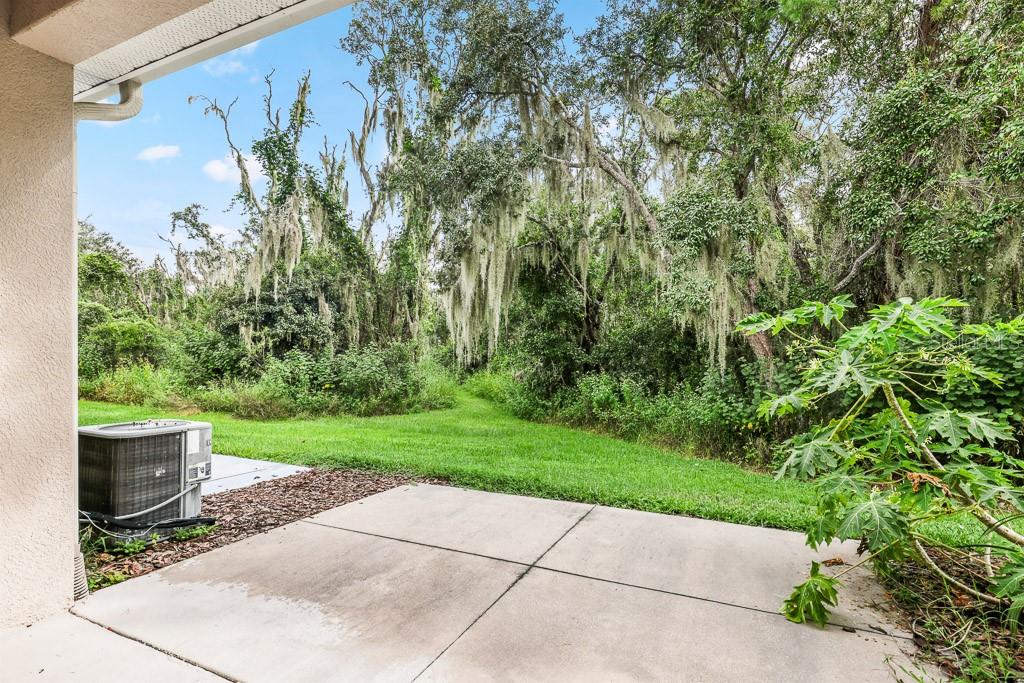 15807 FISHHAWK FALLS DR, LITHIA, FL, 33547