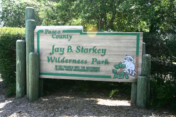9058 ARUNDLE PL, NEW PORT RICHEY, FL, 34655