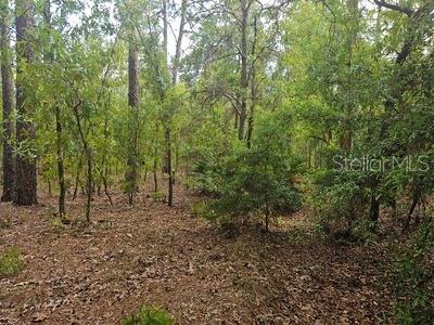 00 SW 90 ST, DUNNELLON, FL, 34432