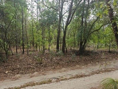 00 SW 90 ST, DUNNELLON, FL, 34432