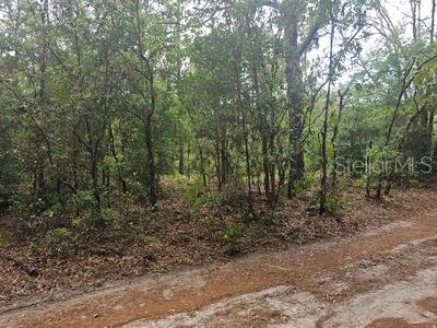 00 SW 90 ST, DUNNELLON, FL, 34432