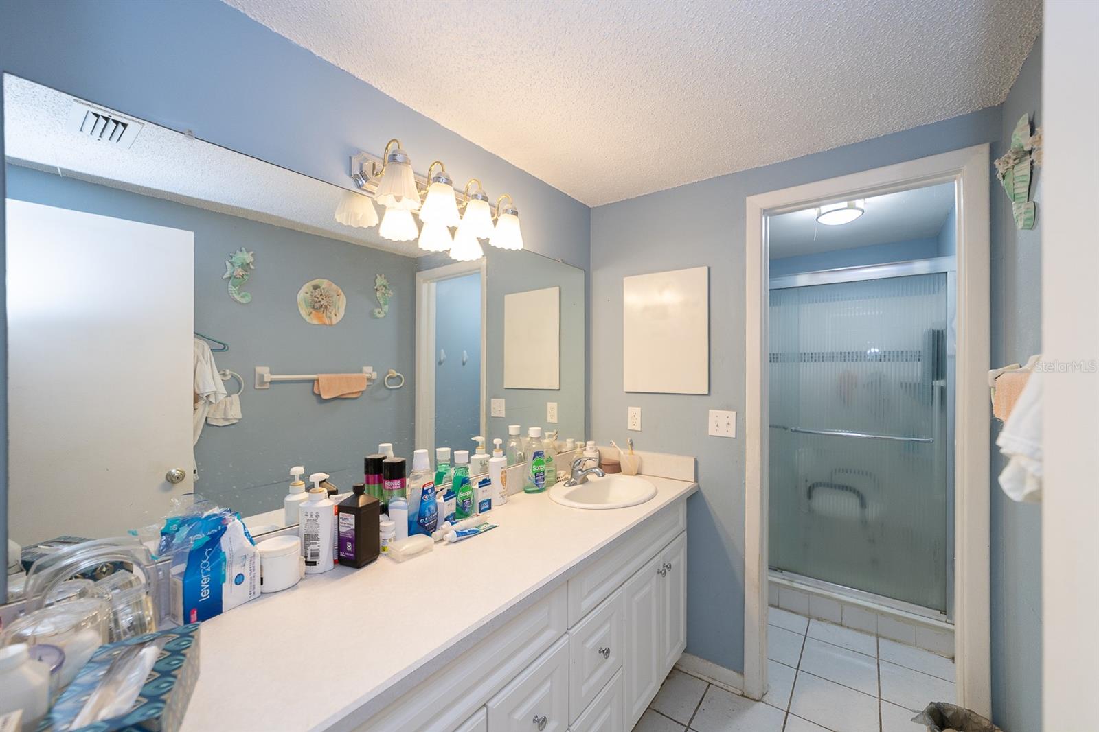 8602 BRIAR GROVE CIR, TAMPA, FL, 33615