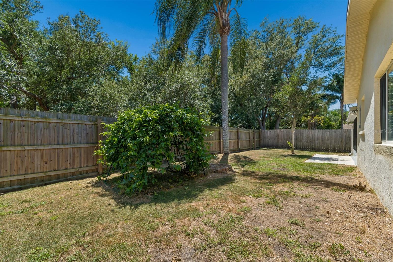 SCOTS LANDING, DUNEDIN, FL, 34698