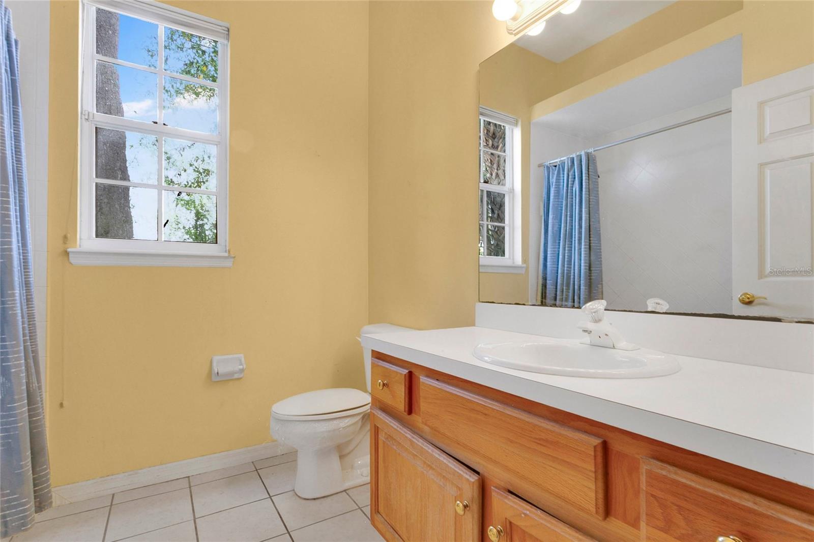 1311 HILLTOP DR, MOUNT DORA, FL, 32757