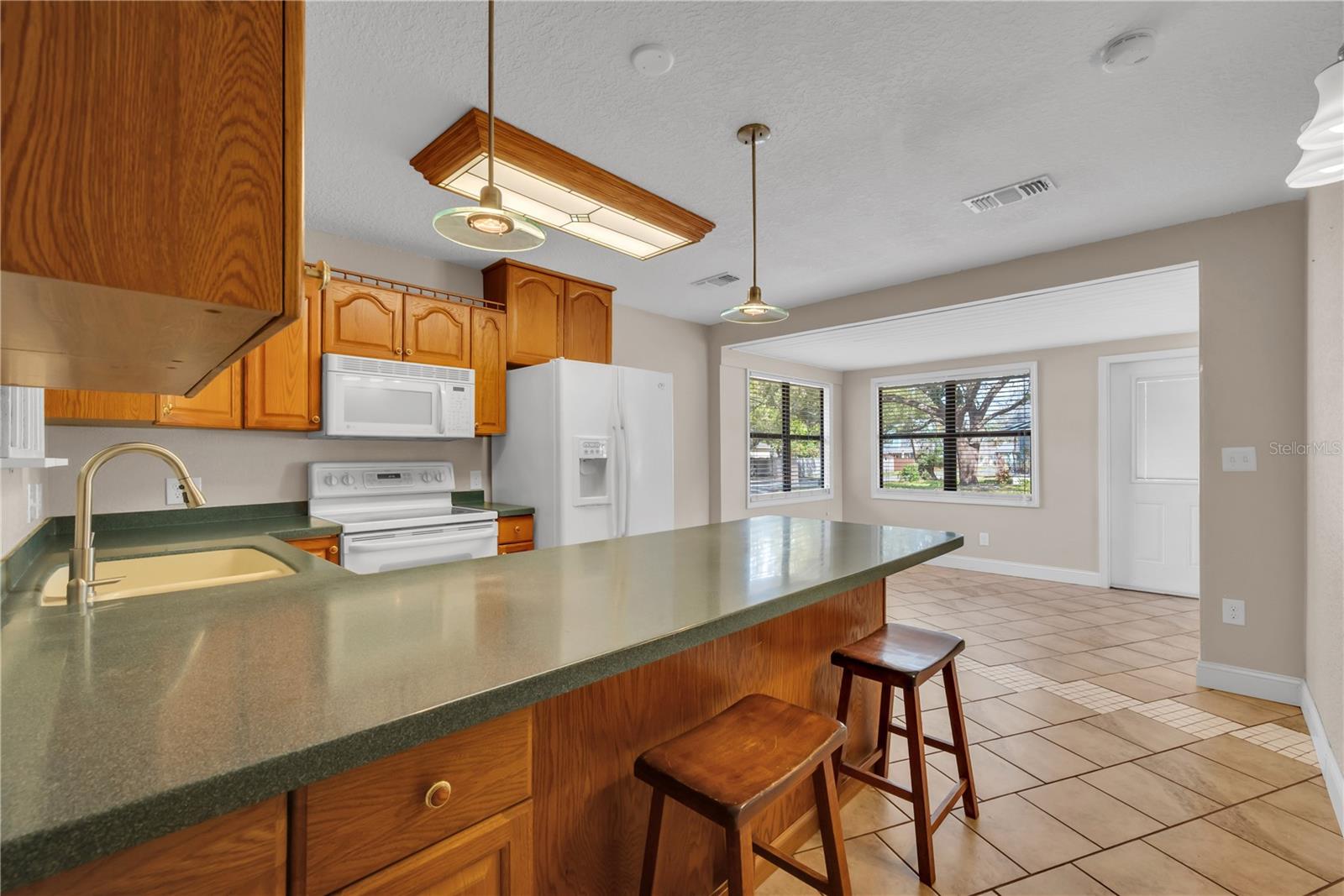 1201 E NORFOLK ST, TAMPA, FL, 33604