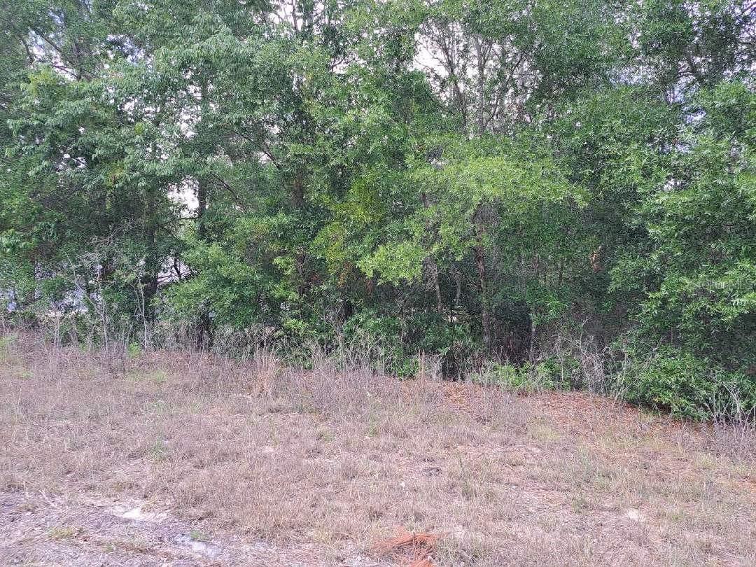 0 SW 64 STREET RD, OCALA, FL, 34481