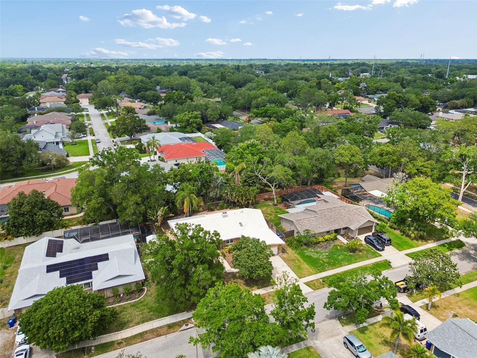 1470 BURNHAM LN, DUNEDIN, FL, 34698