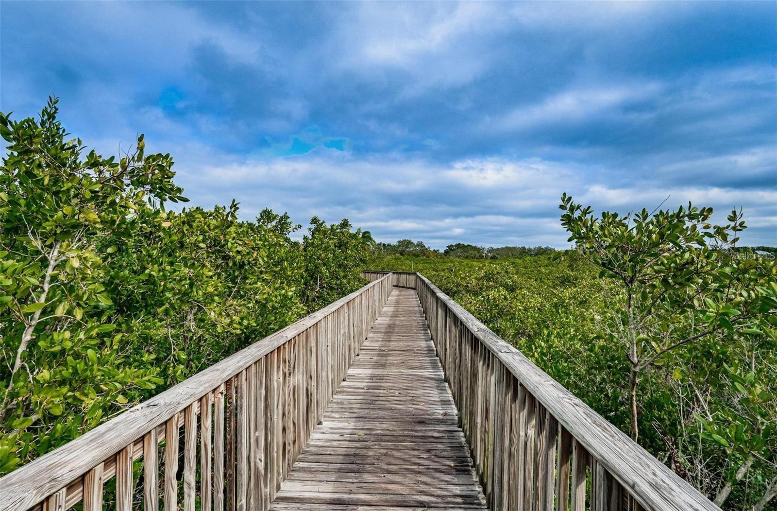 4323 BAYSIDE VILLAGE DR #202, TAMPA, FL, 33615