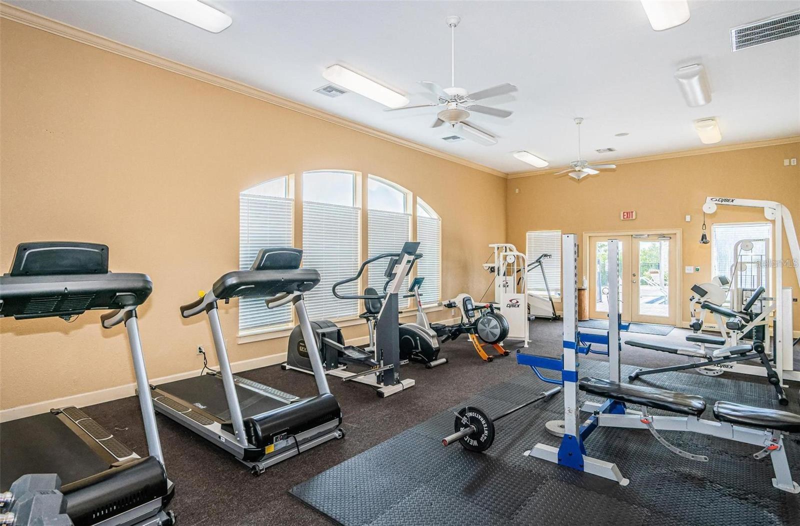 4323 BAYSIDE VILLAGE DR #202, TAMPA, FL, 33615