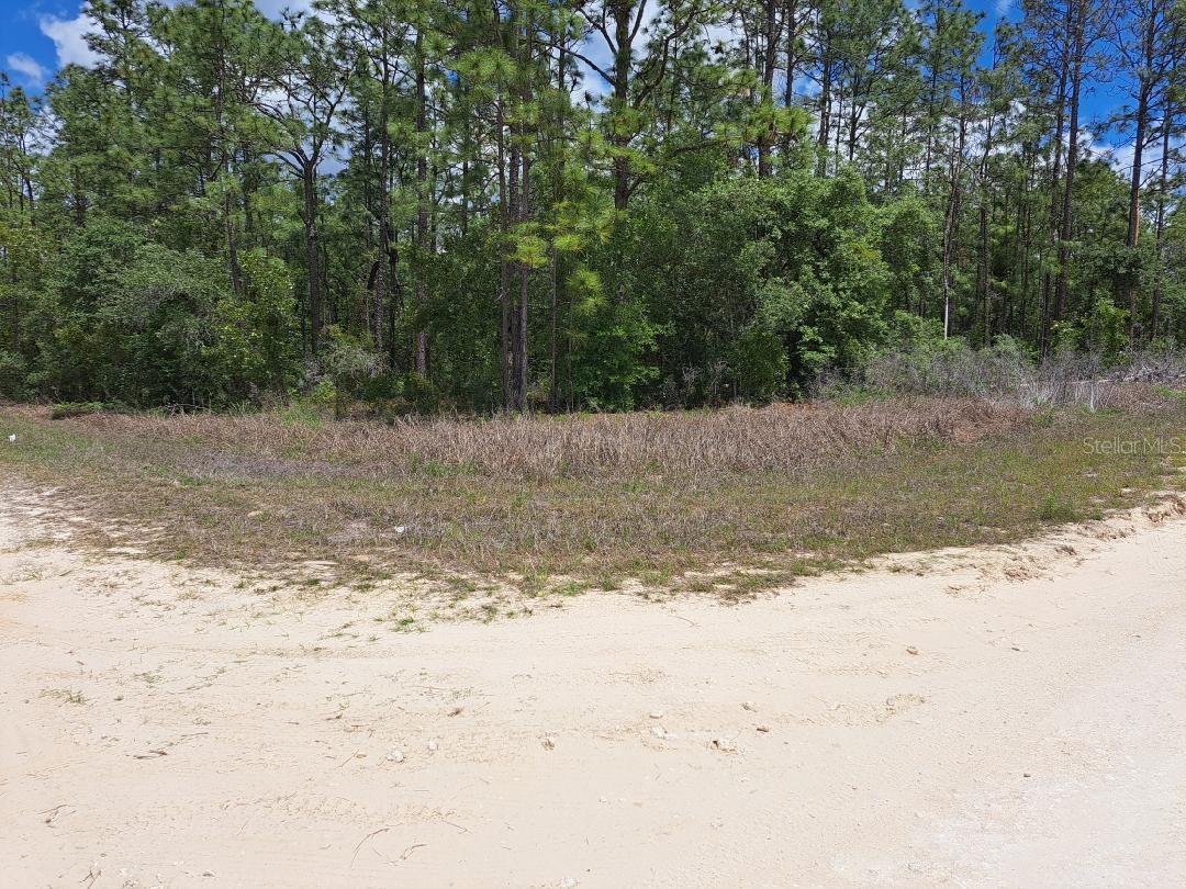0 SW 125 COURT RD, DUNNELLON, FL, 34432