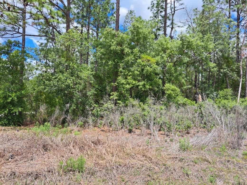 0 SW 125 COURT RD, DUNNELLON, FL, 34432