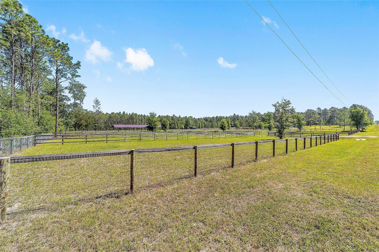 13531 SE 54TH ST, MORRISTON, FL, 32668
